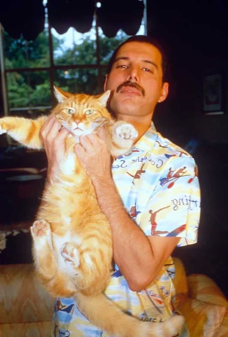 Freddie Mercury