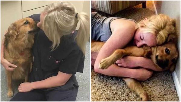 Ce petit chiot gravement blessé a bouleversé la vie de son vétérinaire