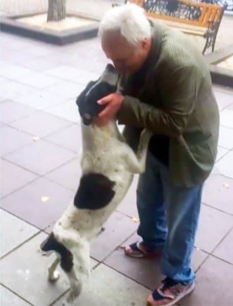 Ce chien, disparu depuis 3 ans, retrouve son propriétaire, sa réaction bouleversante