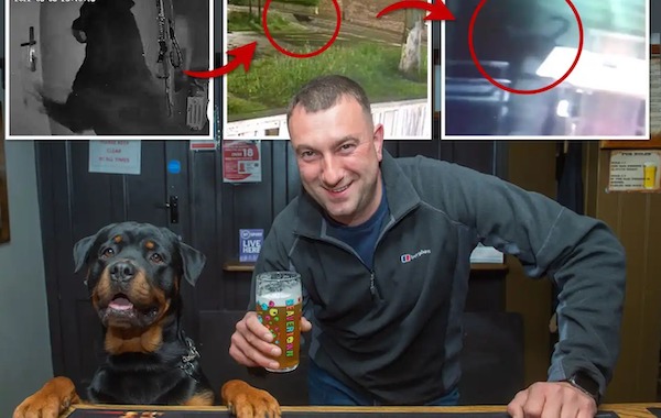 Ce chien s’échappe de chez lui pour se rendre dans son bar préféré, une aventure hilarante