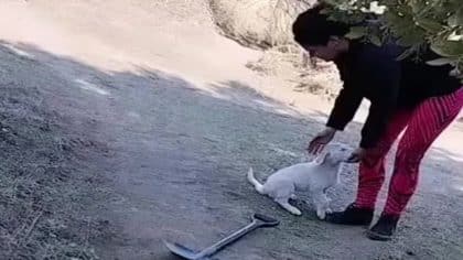 Ce chiot errant console une famille qui enterre son animal de compagnie, une scène bouleversante