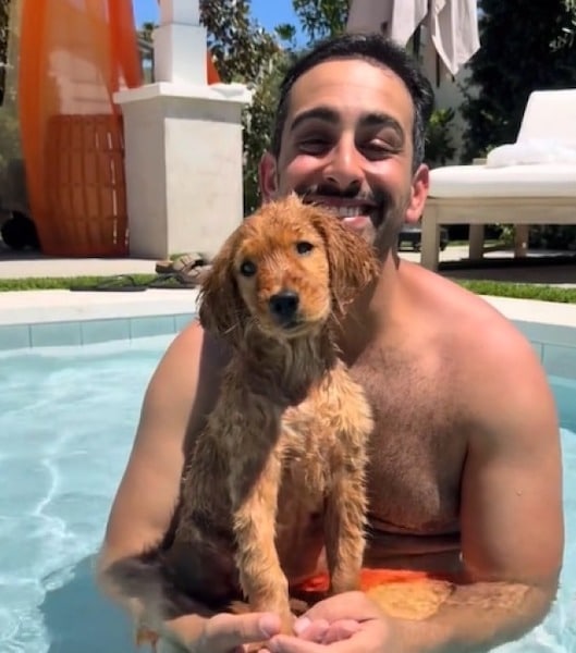 Ce chiot Golden Retriever découvre pour la 1re fois la piscine, sa réaction hilarante pour son 1er bain