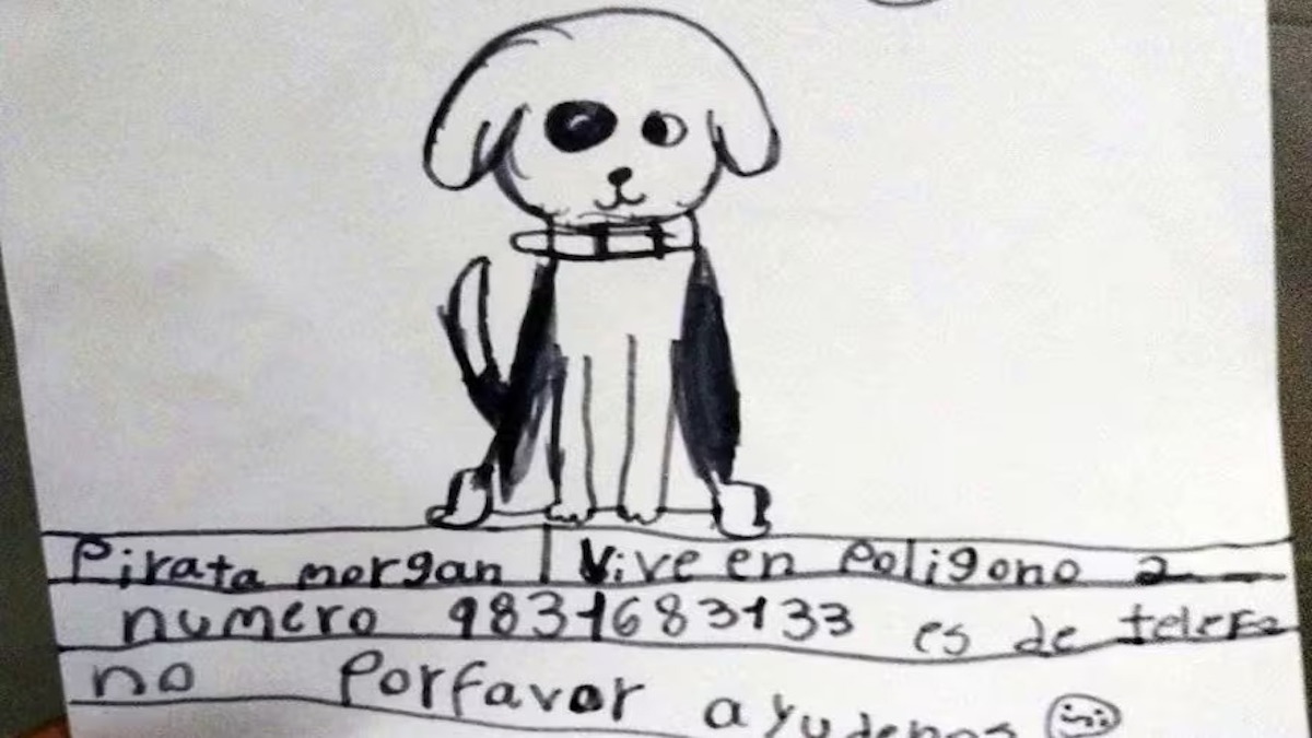 Cette mamie retrouve son chien qui a disparu grâce au dessin de sa petite-fille, une histoir émouvante