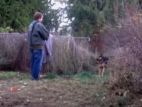 Il veut libérer un chien qui a été enchaîné toute sa vie, mais il lui fonce dessus