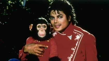 La vie du célèbre singe de Michael Jackson : voici ce qu’il est devenu depuis la mort du chanteur