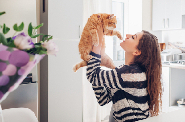 Les conseils avant d’accueillir un chat chez vous pour qu’il soit heureux et en bonne santé
