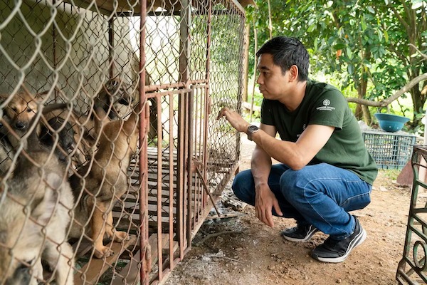 Plus de 60 chiens secourus de l’enfer des abattoirs au Vietnam, un sauvetage bouleversant