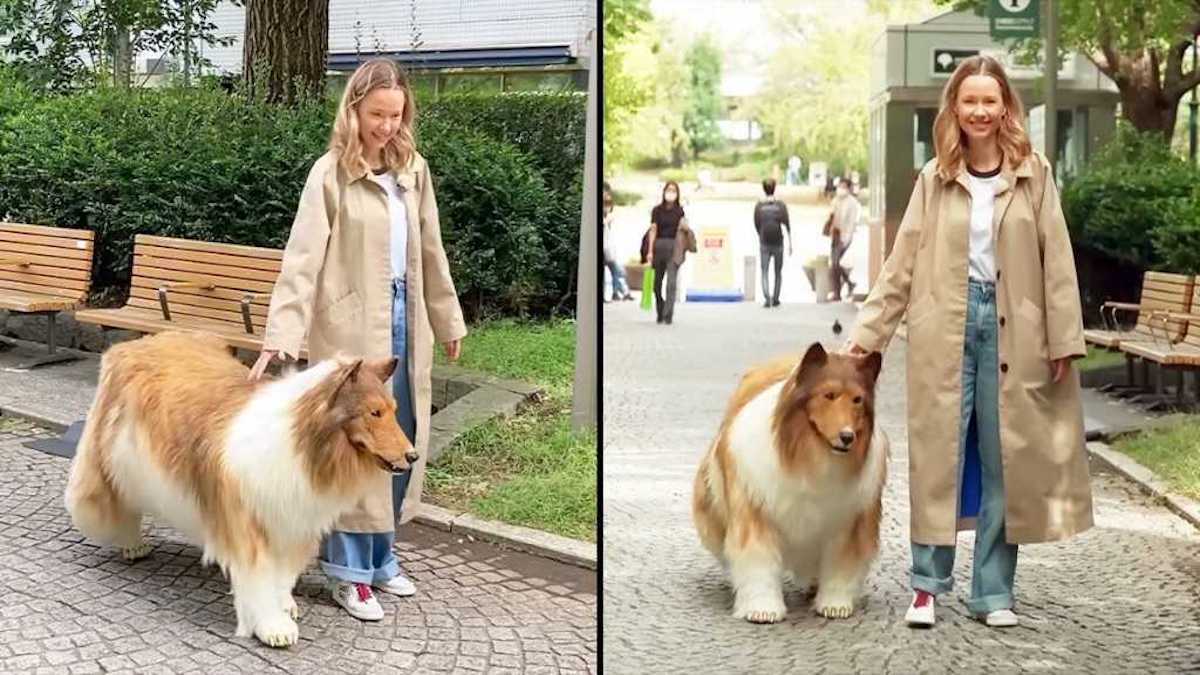 Un Japonais paye 13 000 euros pour se transformer en chien, le résultat est hallucinant