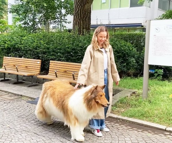Un Japonais paye 13 000 euros pour se transformer en chien, le résultat est hallucinant