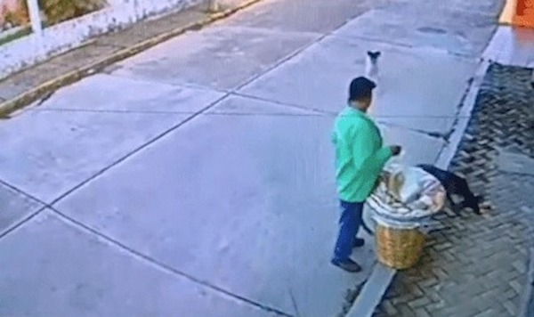 Un marchand ambulant donne le reste de sa nourriture à des chiens errants, une caméra le filme