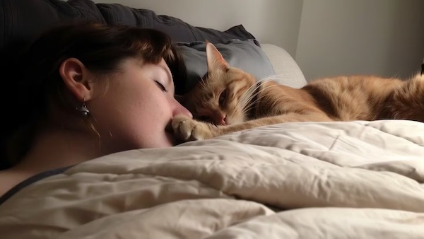 Votre chat vous réveille au beau milieu de la nuit ? Voici les raisons possibles