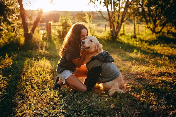 10 races de chiens à privilégier si vous avez des enfants, selon les experts