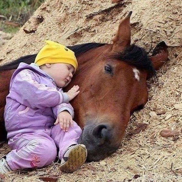 7 photos d'amitié avec des animaux parmi les plus mignonnes au monde