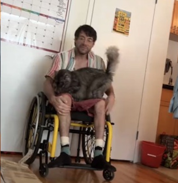 Ce chat veut s’asseoir avec son propriétaire en fauteuil roulant, sa façon de faire sidère tout le monde