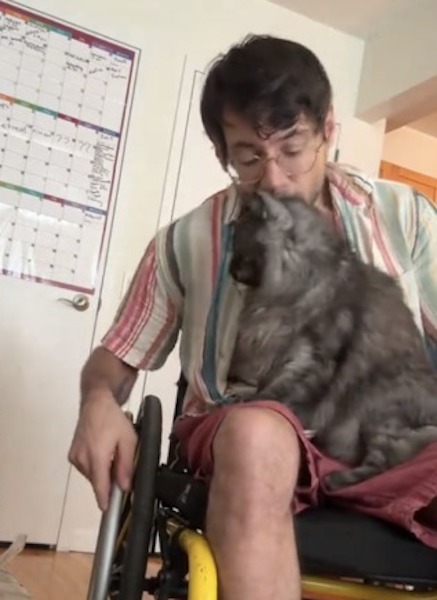 Ce chat veut s’asseoir avec son propriétaire en fauteuil roulant, sa façon de faire sidère tout le monde