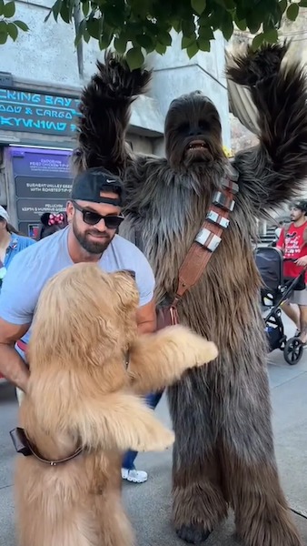 Ces 2 chiens rencontrent leurs héros au parc Disney, leur réaction totalement inattendue