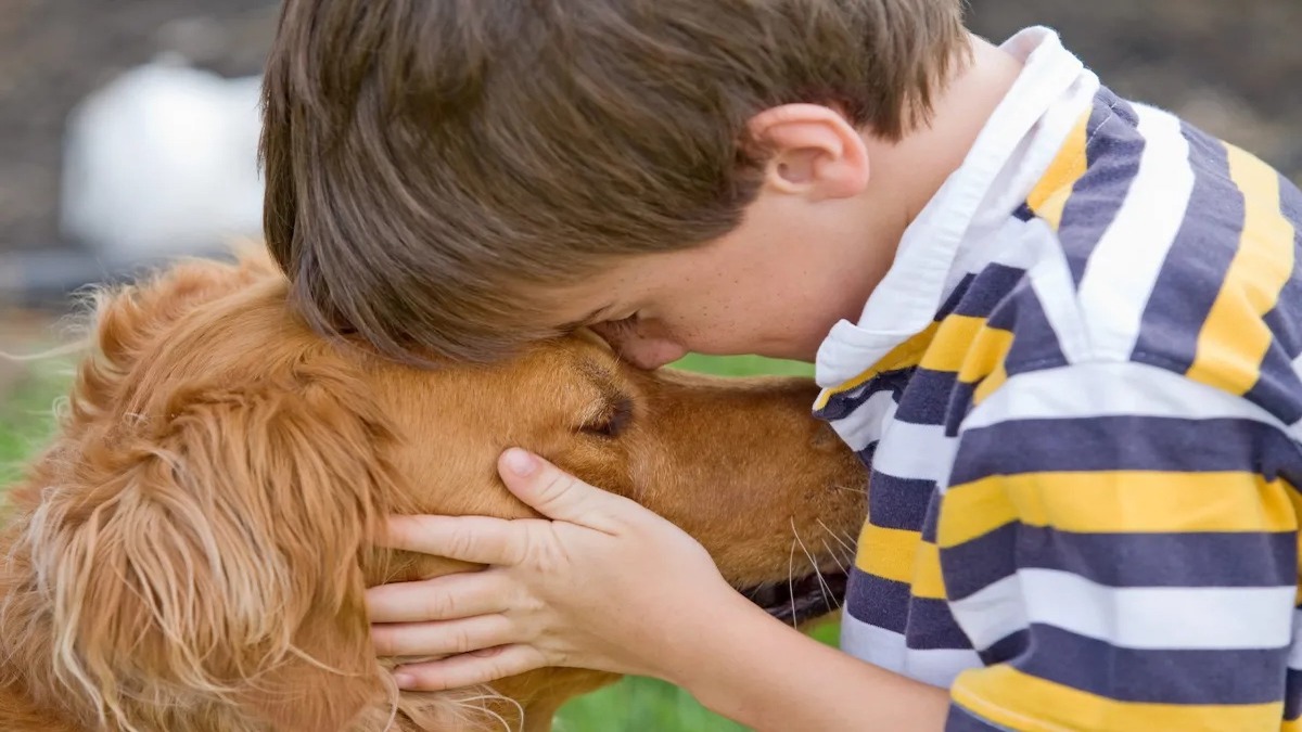 Ces races de chiens créent les liens les plus profonds avec leurs maîtres, ils sont prêts à tout pour eux