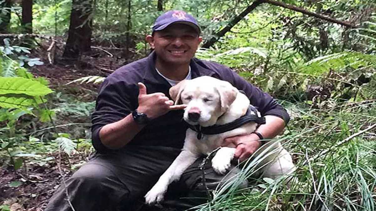 Cette chienne âgée et aveugle a disparu en forêt depuis 1 semaine, un miracle se produit
