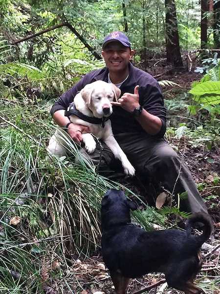 Cette chienne âgée et aveugle a disparu en forêt depuis 1 semaine, un miracle se produit