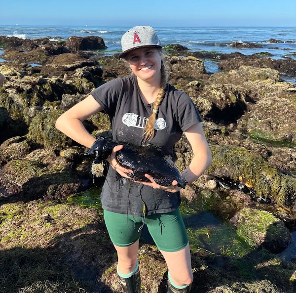 Des chercheurs rencontrent sur une plage des animaux les plus improbables qu’ils soient