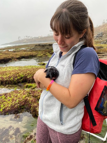 Des chercheurs rencontrent sur une plage des animaux les plus improbables qu’ils soient