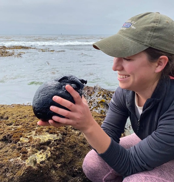 Des chercheurs rencontrent sur une plage des animaux les plus improbables qu’ils soient