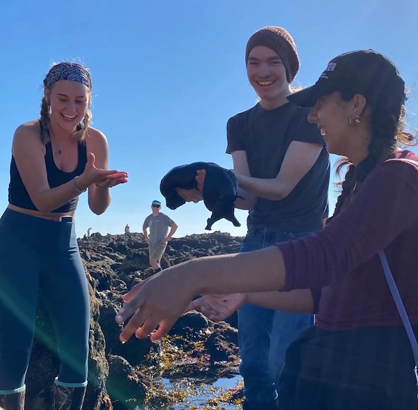 Des chercheurs rencontrent sur une plage des animaux les plus improbables qu’ils soient