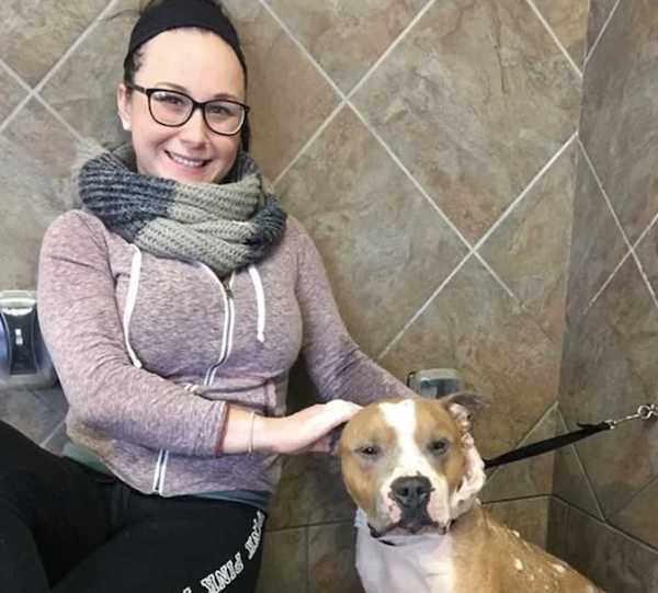 Elle adopte un pitbull triste, la réaction du chien a surpris tout le monde