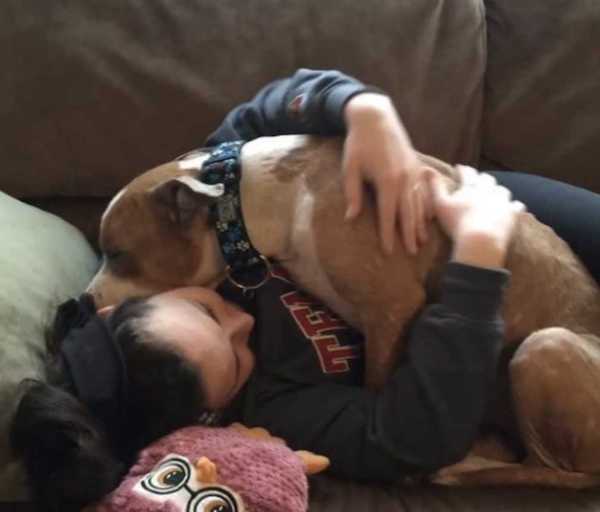 Elle adopte un pitbull triste, la réaction du chien a surpris tout le monde