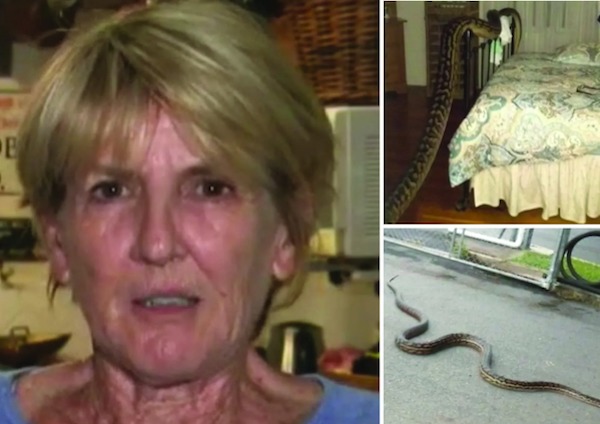 Elle se réveille et découvre avec horreur un énorme serpent dans sa chambre, elle a eu la peur de sa vie