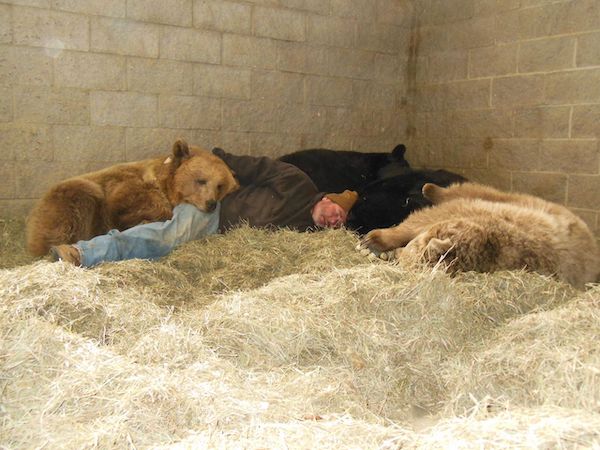 Il fait la sieste avec les 2 ours à qui il a sauvé la vie il y a 10 ans : une scène inédite