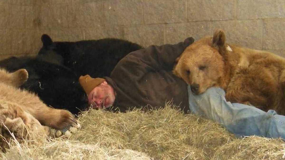 Il fait la sieste avec les 2 ours à qui il a sauvé la vie il y a 10 ans : une scène inédite
