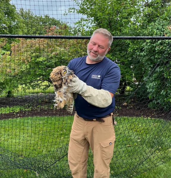 Ils trouvent un hibou Grand-duc d’Europe en détresse dans leur jardin, un héros débarque