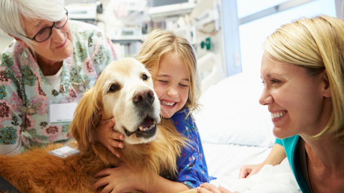 Les chiens de thérapie contribuent à la stabilité émotionnelle des enfants, voici comment