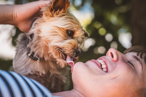 Pourquoi mon chien me lèche-t-il le visage ? Découvrez ce que cela signifie