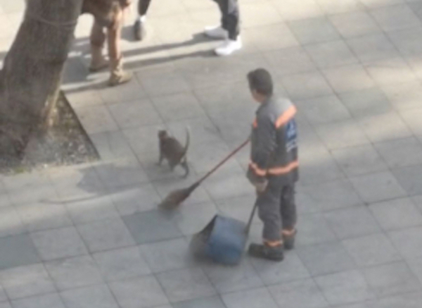 Un balayeur joue avec son balai et un chat errant, la scène surprend tout le monde