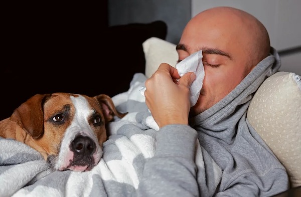 Voici comment réagissent les chiens lorsque leur propriétaire est malade
