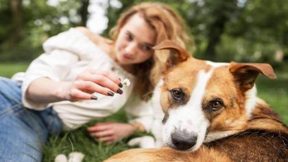 C'est ainsi que les chiens détectent les mauvaises personnes