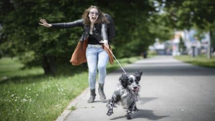 La bonne façon de promener votre chien sans problème