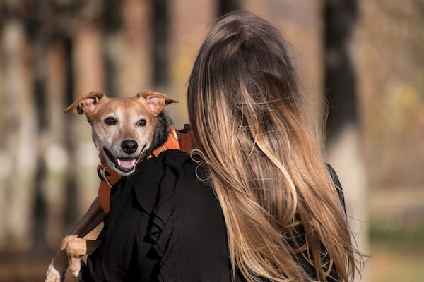 Un chien à la maison réduit le risque de dépression chez certaines femmes, selon une étude de Harvard