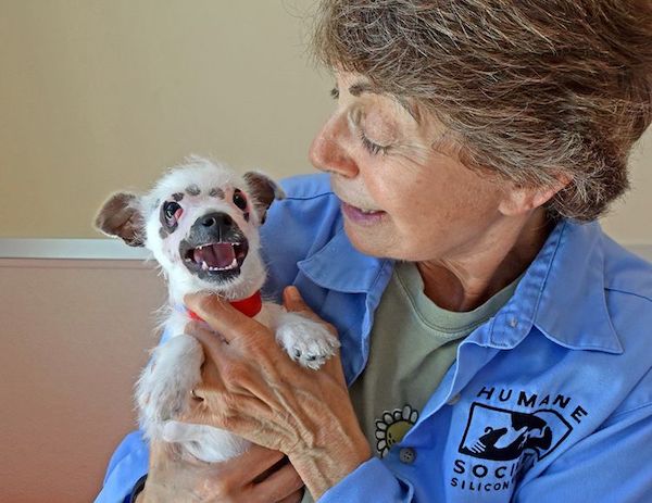 Un chiot trouve une famille qui le remplit d'amour malgré ses horribles cicatrices