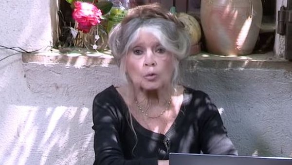 Brigitte Bardot exprime son soutien à Jordan Bardella et au RN