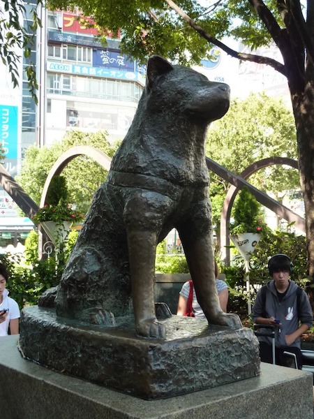 « Hachiko », l'incroyable histoire du chien bien-aimé qui a conquis le cœur de Richard Gere