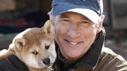 « Hachiko », l'incroyable histoire du chien bien-aimé qui a conquis le cœur de Richard Gere