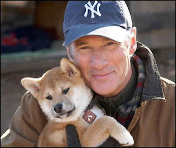 « Hachiko », l'incroyable histoire du chien bien-aimé qui a conquis le cœur de Richard Gere