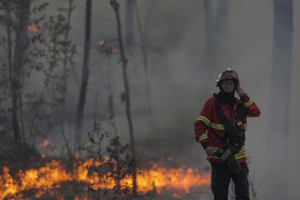 Portugal en feu : des villes assiégées par les flammes, un lourd bilan humain