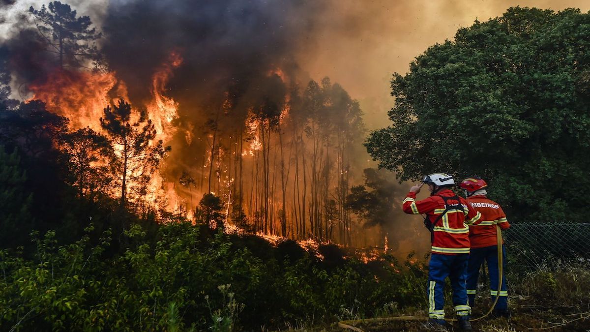 Portugal en feu : des villes assiégées par les flammes, un lourd bilan humain