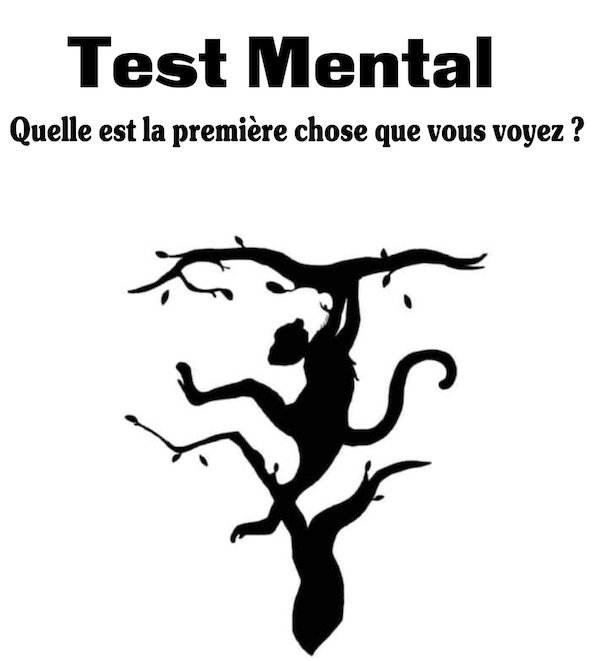 Test mental : Quelle est la première chose que vous voyez ?