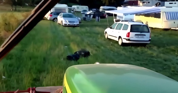 Un agriculteur surprend des gitans dans son champ avec son tracteur : un moment hors du commun