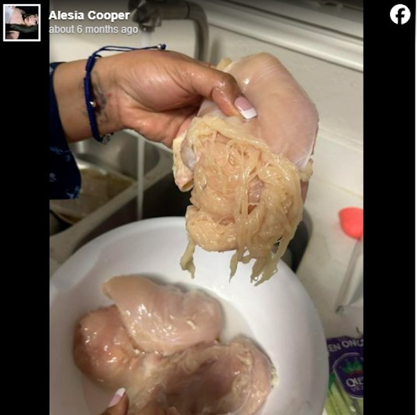 Une mère poste une photo dégoûtante d'une poitrine de poulet qui se déchiquette en spaghetti